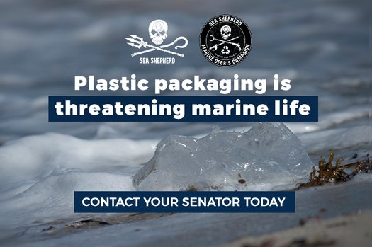 image of Senators: Stop Marine Plastic Pollution